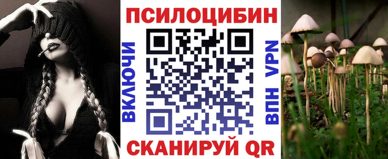Псилоцибиновые грибы GOLDEN TEACHER KRAKEN Цоци-Юрт закладки